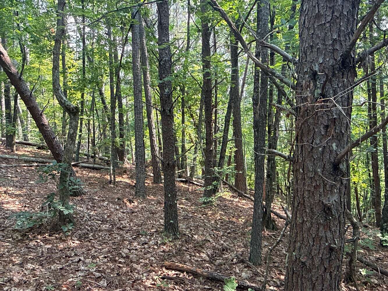 2.2 Acres of Residential Land for Sale in Union Mills, North Carolina