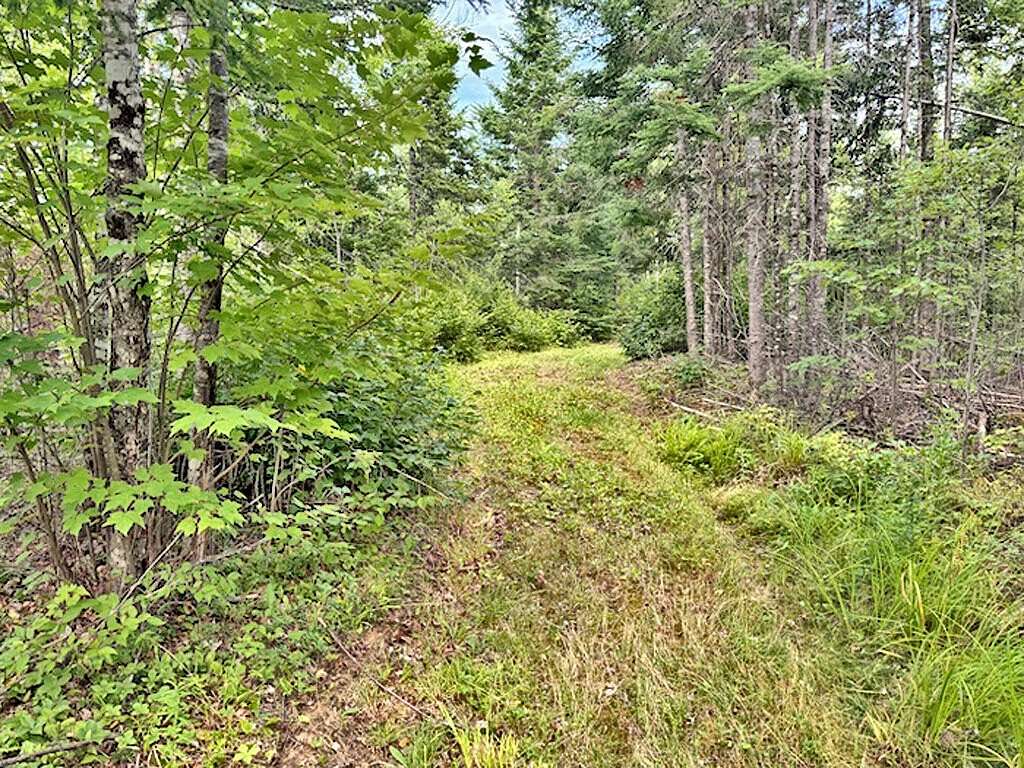 15 Acres of Land for Sale in Cary, Maine