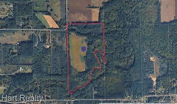 53 Acres of Recreational & Residential Land for Sale in Marathon Township, Michigan