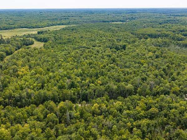 80 Acres of Recreational Land for Sale in McGrath, Minnesota