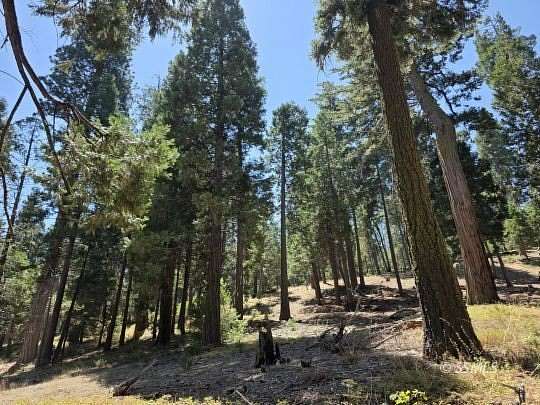 0.39 Acres of Residential Land for Sale in Wofford Heights, California