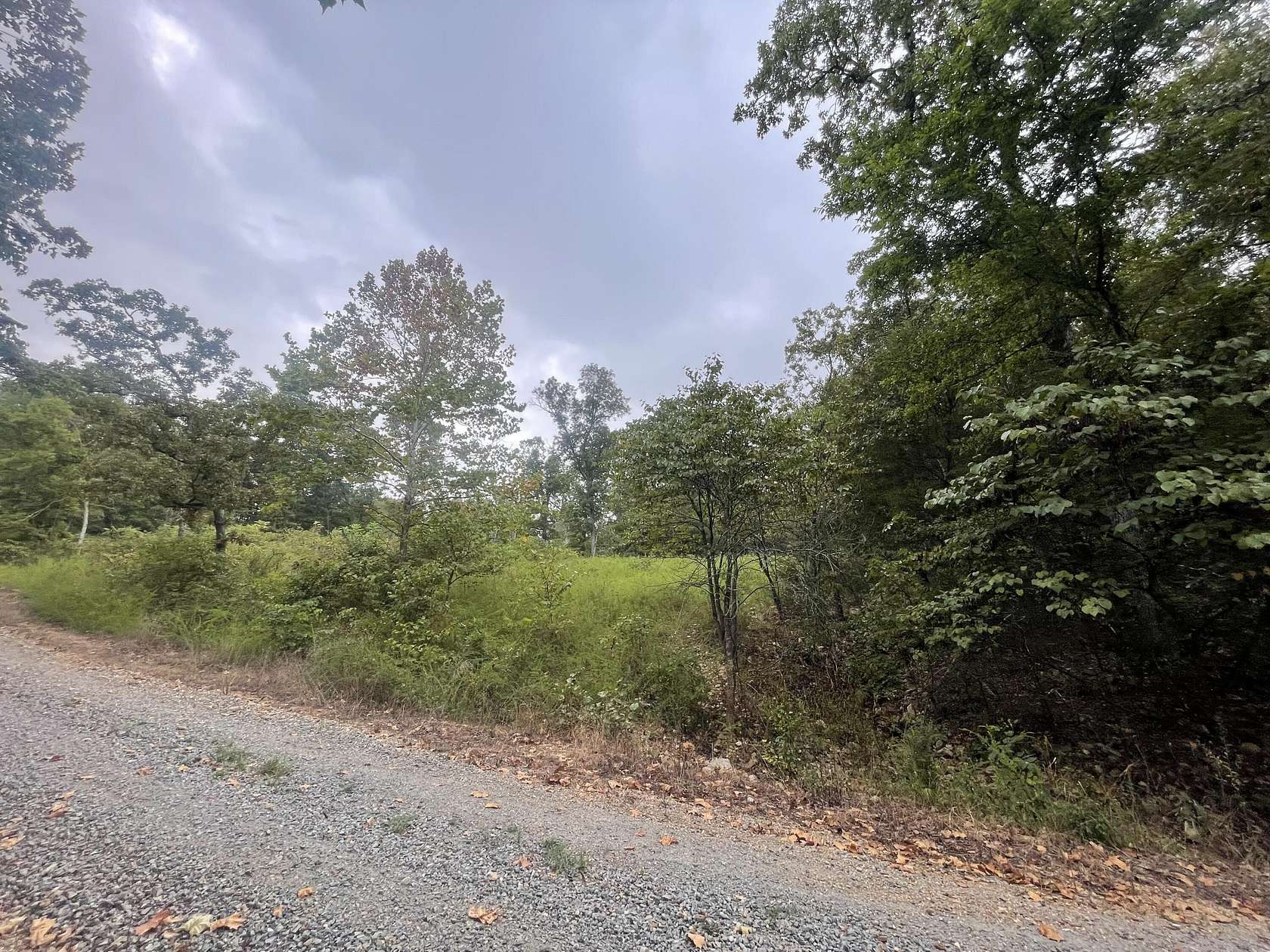 0.21 Acres of Residential Land for Sale in Theodosia, Missouri