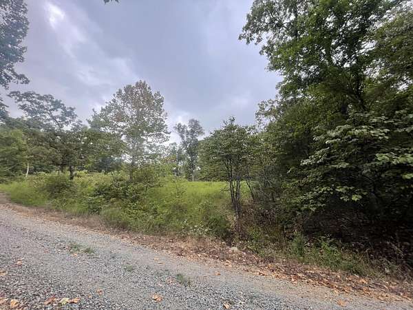0.21 Acres of Residential Land for Sale in Theodosia, Missouri