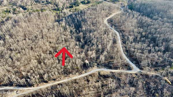 7.1 Acres of Residential Land for Sale in Sunbright, Tennessee