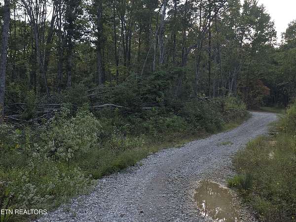 7.1 Acres of Residential Land for Sale in Sunbright, Tennessee