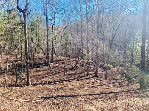 1.2 Acres of Residential Land for Sale in Murphy, North Carolina