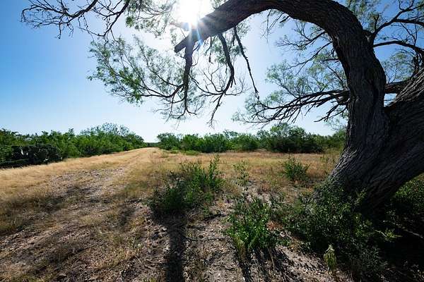 700 Acres of Land for Sale in Tilden, Texas