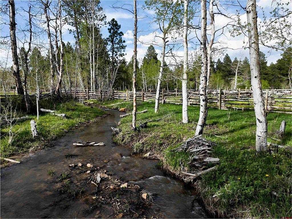 239 Acres of Land for Sale in Mancos, Colorado