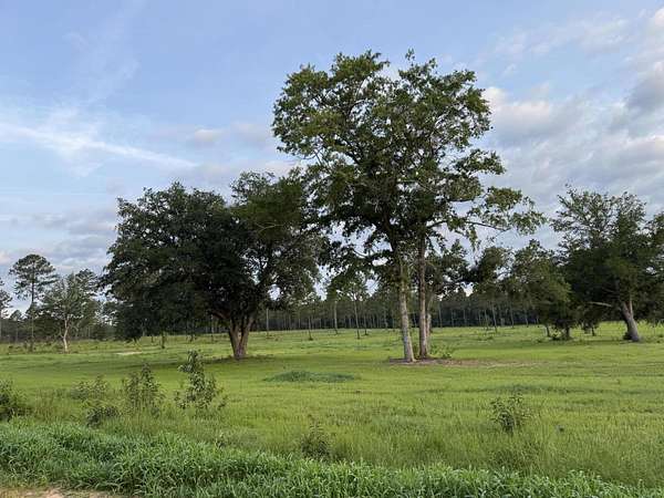 6.5 Acres of Land for Sale in Aiken, South Carolina