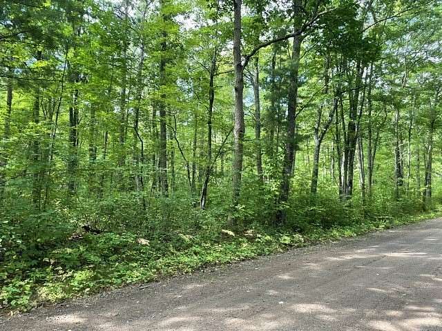 0.55 Acres of Commercial Land for Sale in Hayward, Wisconsin