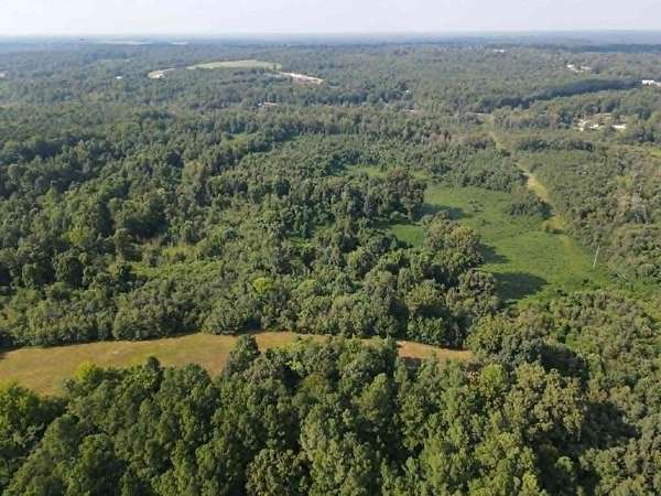 48.5 Acres of Land for Sale in Paris, Tennessee
