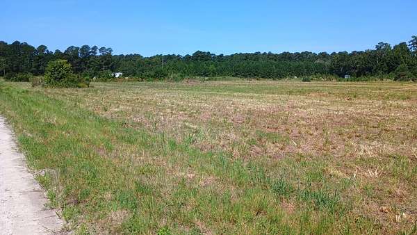 1 Acre of Residential Land for Sale in Green Sea, South Carolina