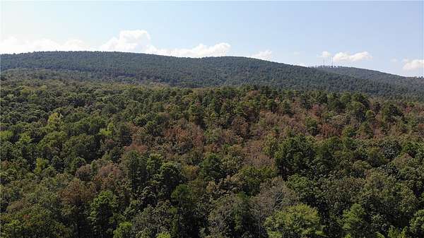 36.5 Acres of Recreational & Residential Land for Sale in Danville, Arkansas