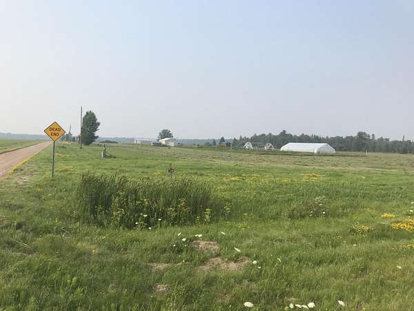 15 Acres of Land for Sale in Rudyard, Michigan