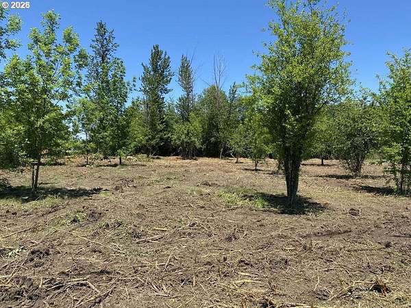 0.5 Acres of Residential Land for Sale in Eugene, Oregon