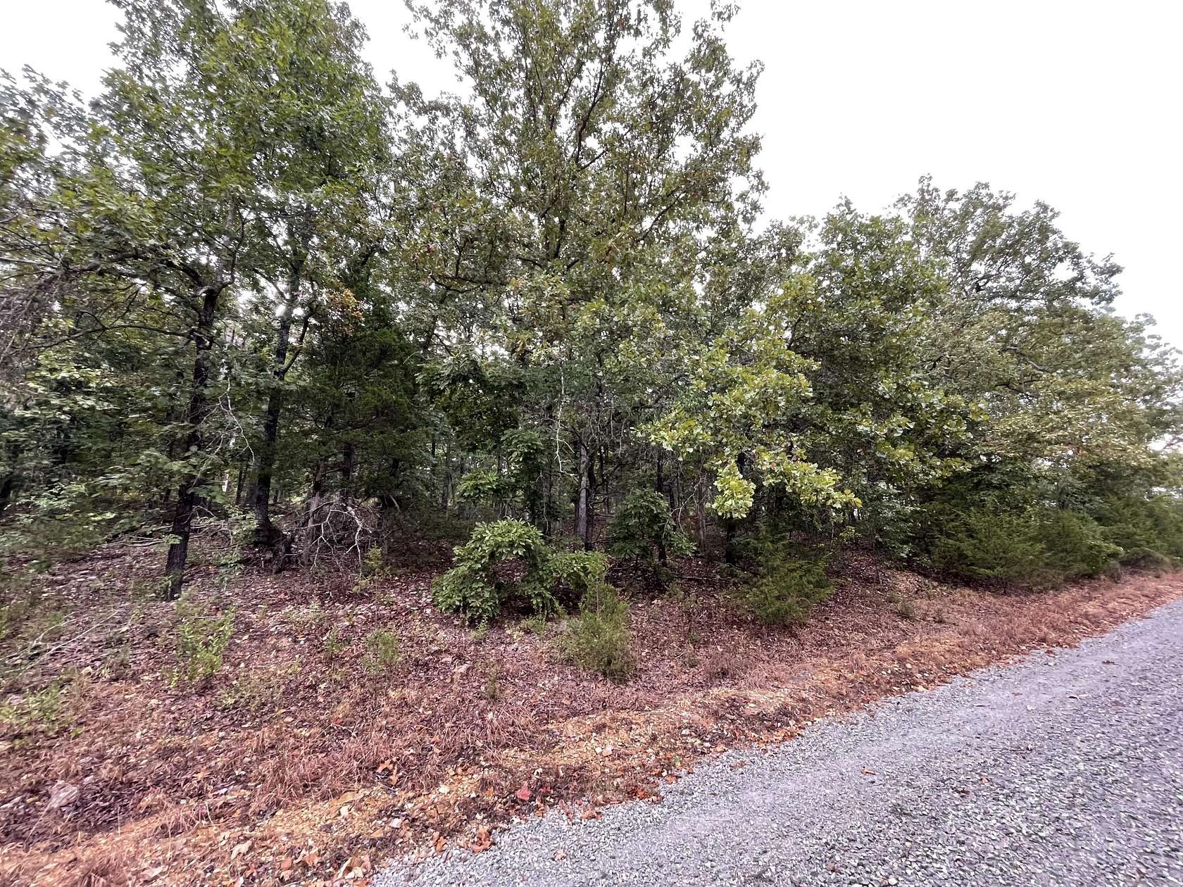 0.18 Acres of Residential Land for Sale in Theodosia, Missouri