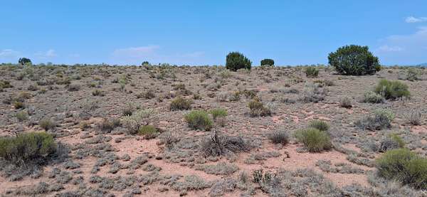 1.5 Acres of Residential Land for Sale in Williams, Arizona