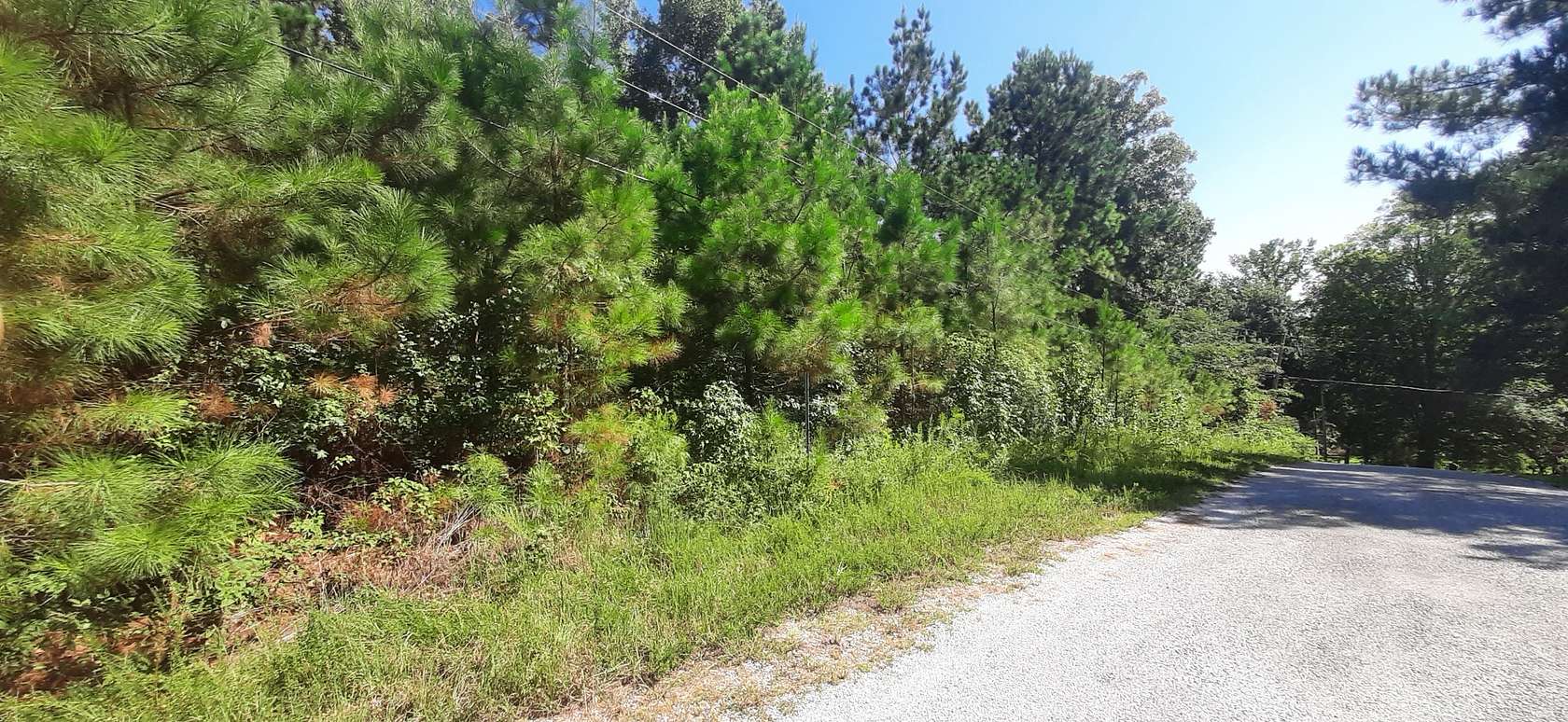 0.8 Acres of Residential Land for Sale in Buchanan, Tennessee