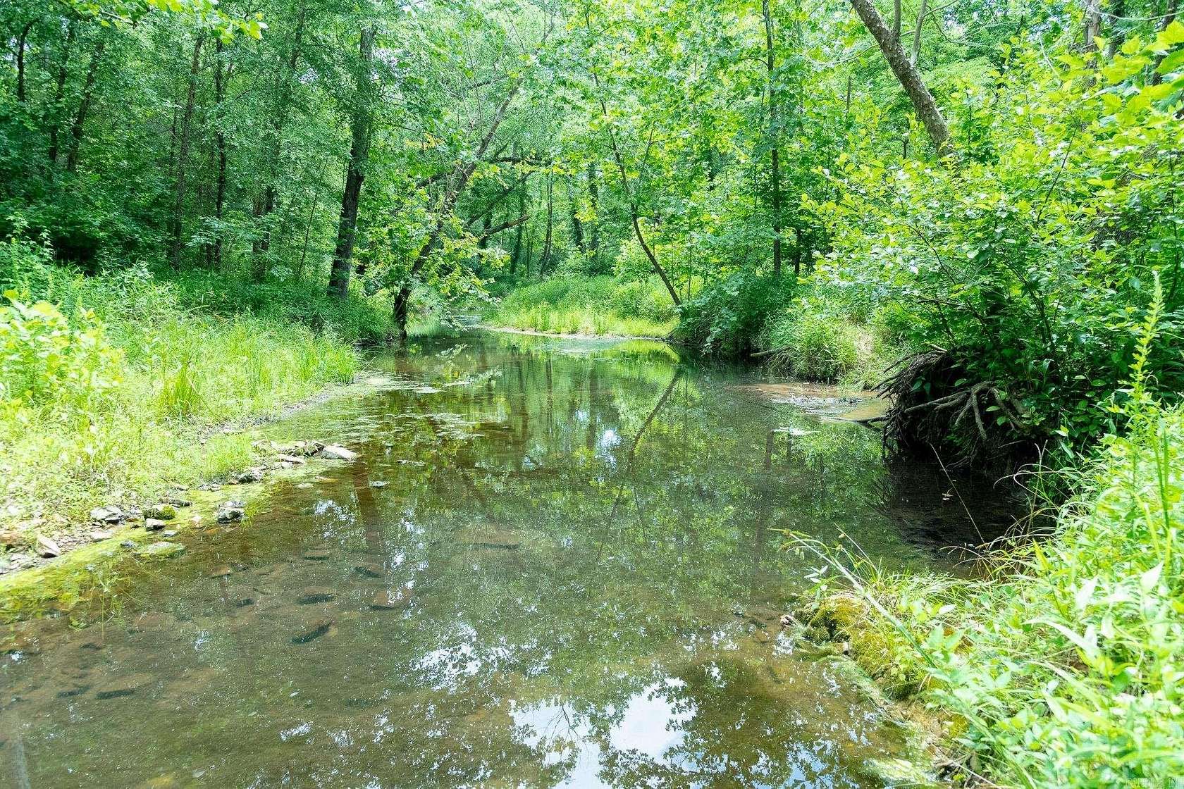 123 Acres of Land for Sale in Evening Shade, Arkansas