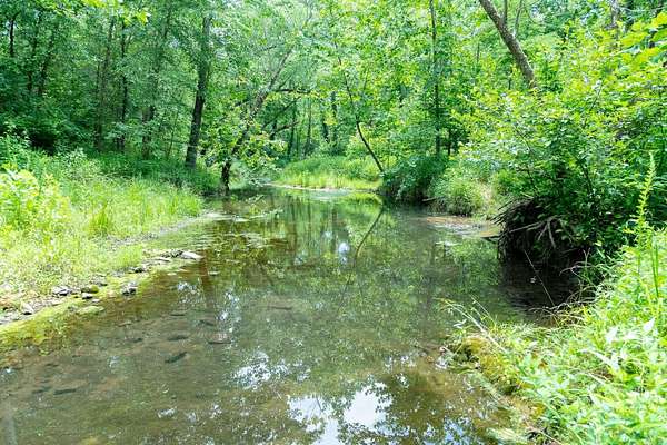 123 Acres of Land for Sale in Evening Shade, Arkansas