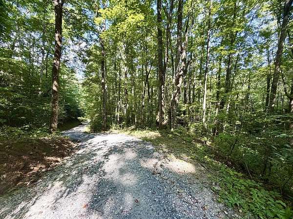 11.3 Acres of Recreational & Residential Land for Sale in Robbinsville, North Carolina