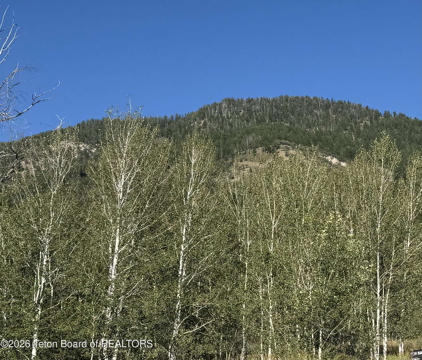 35 Acres of Recreational & Residential Land for Sale in Etna, Wyoming