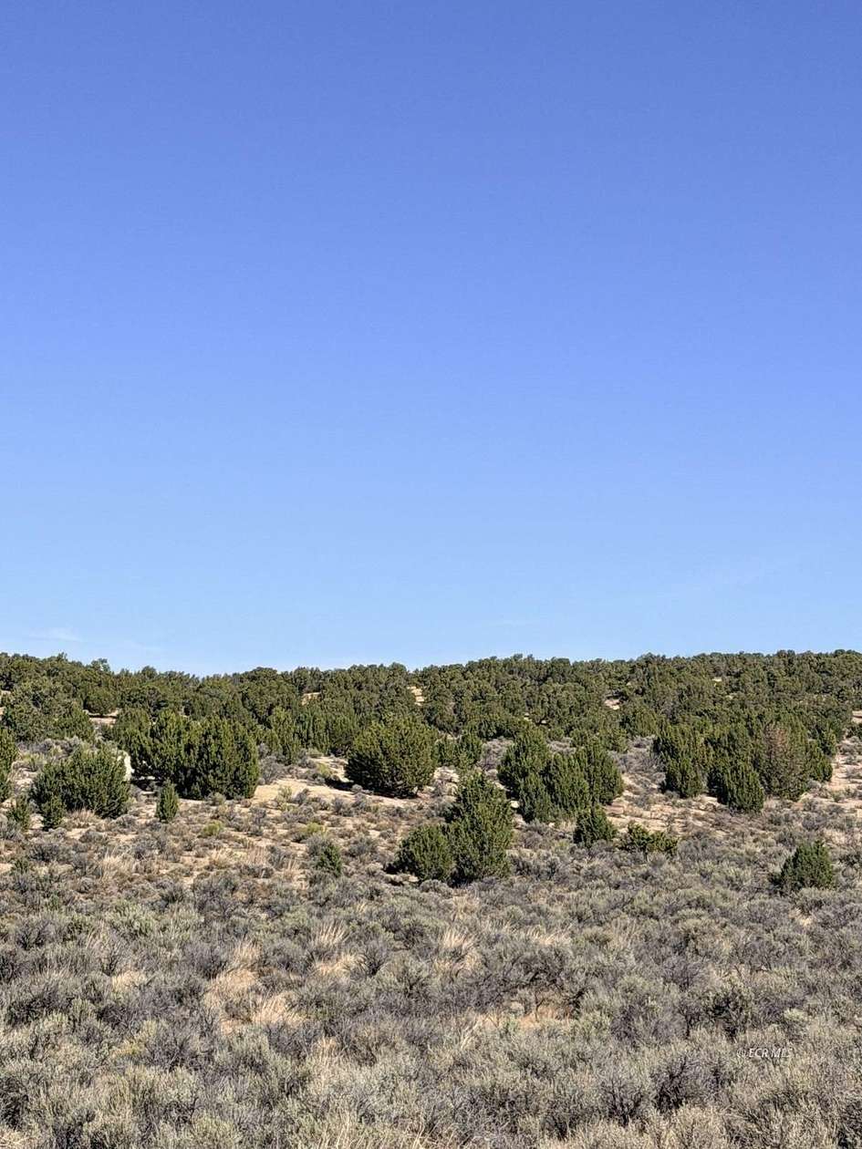 2 Acres of Land for Sale in Spring Creek, Nevada