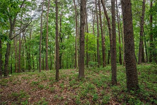 16.9 Acres of Land for Sale in Jasper, Georgia