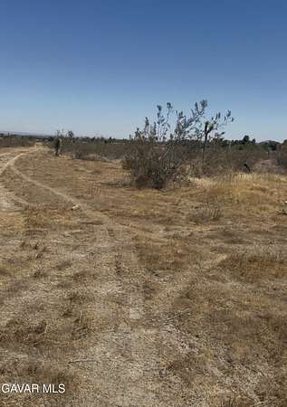 1.24 Acres of Residential Land for Sale in Littlerock, California