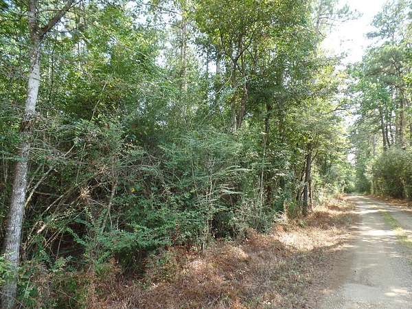 14.8 Acres of Recreational Land for Sale in Call, Texas