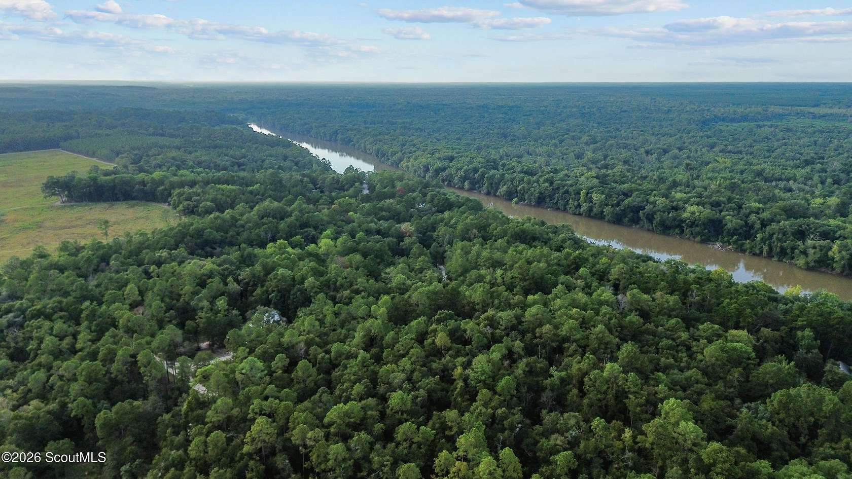 1 Acre of Residential Land for Sale in Jesup, Georgia