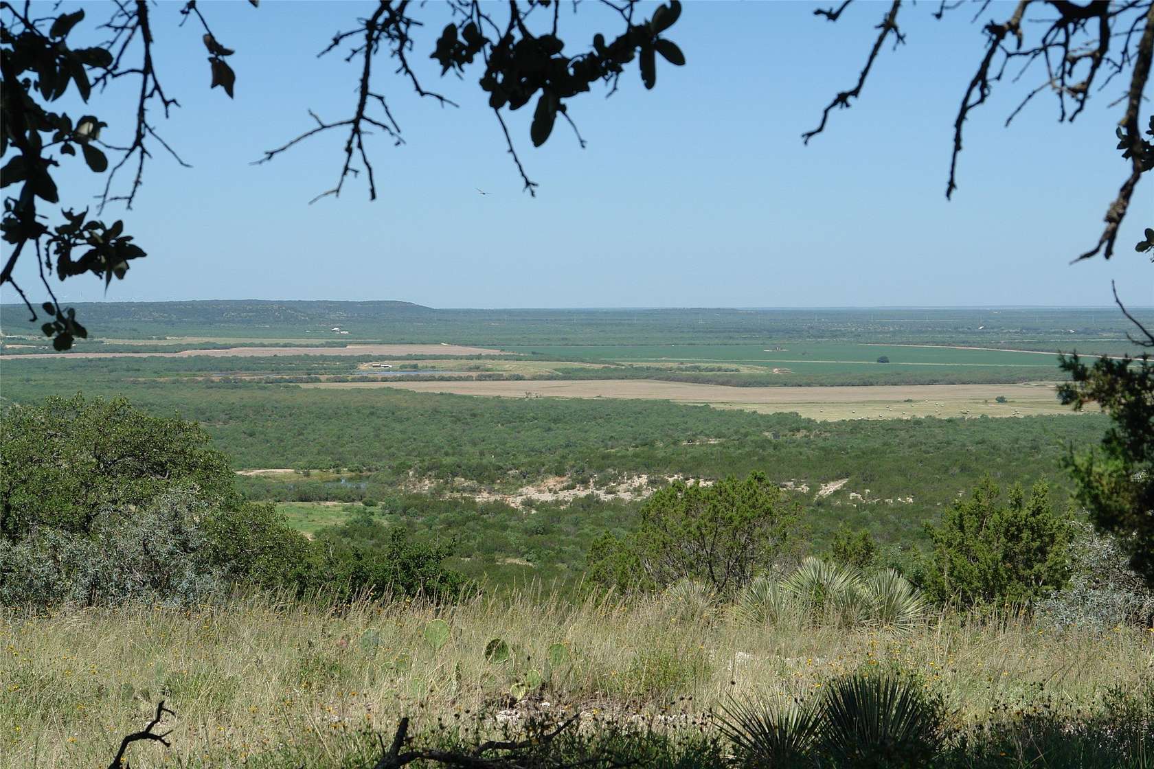 310 Acres of Land for Sale in Melvin, Texas
