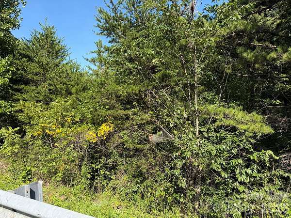 0.64 Acres of Residential Land for Sale in Hickory, North Carolina