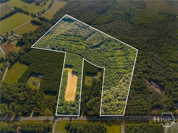 46.8 Acres of Recreational & Residential Land for Sale in Pembroke, Georgia