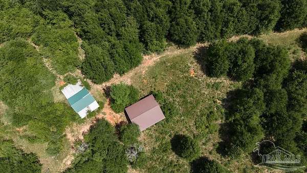 5.56 Acres of Land for Sale in Jay, Florida