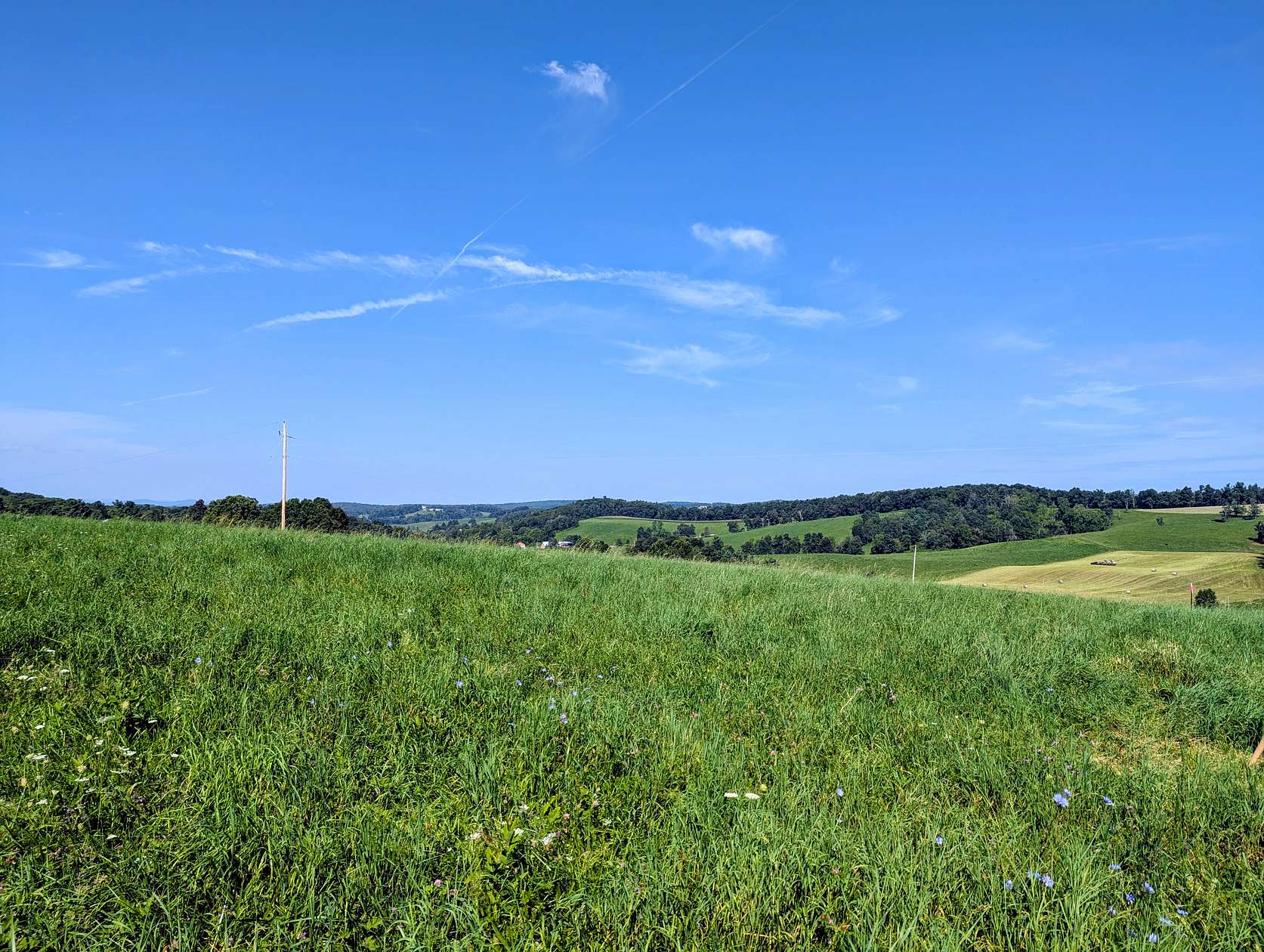 3.12 Acres of Land for Auction in Floyd, Virginia