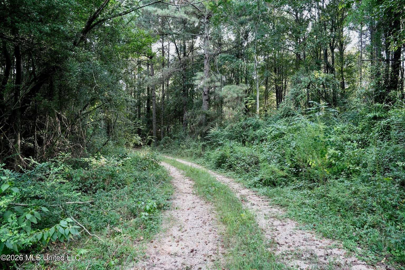 14 Acres of Land for Sale in Louin, Mississippi