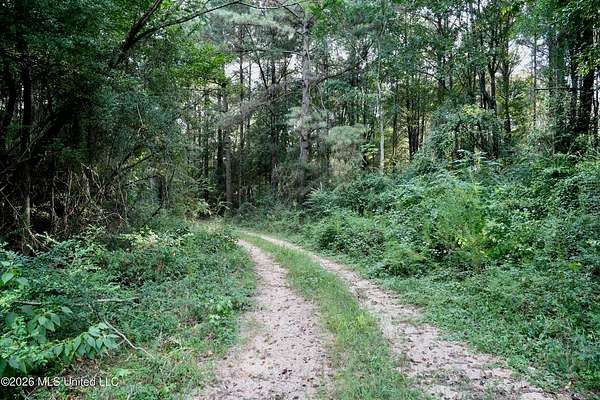 14 Acres of Land for Sale in Louin, Mississippi