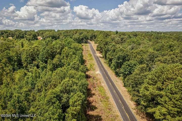 31 Acres of Land for Sale in Taylorsville, Mississippi