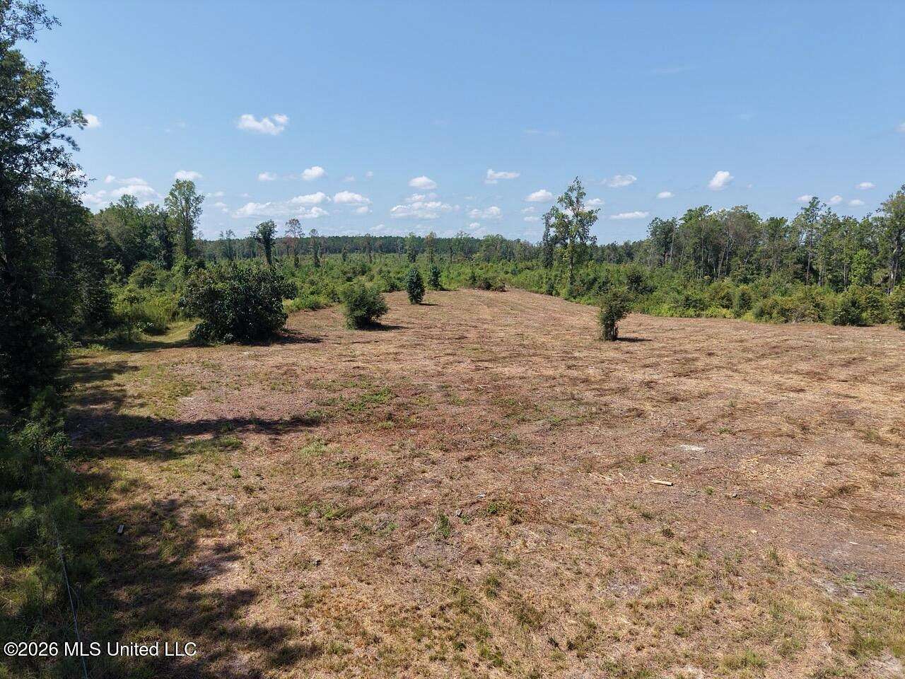 147 Acres of Land for Sale in Bogalusa, Louisiana
