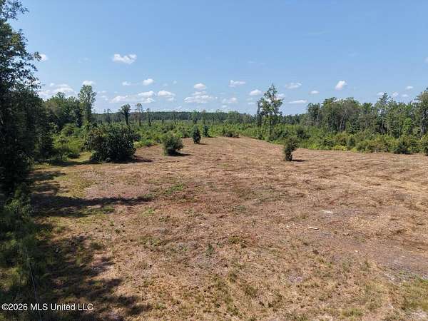 147 Acres of Land for Sale in Bogalusa, Louisiana
