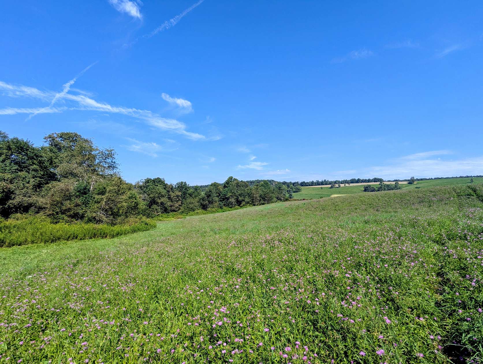 7.3 Acres of Land for Auction in Floyd, Virginia
