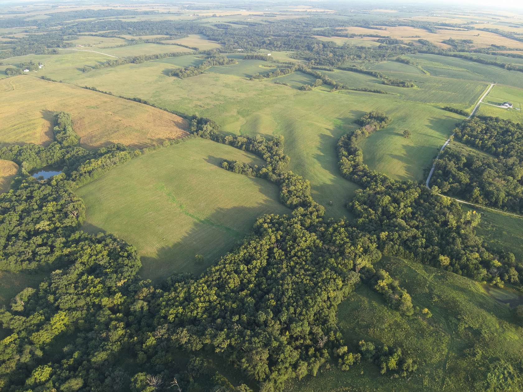 160 Acres of Land for Sale in Ridgeway, Missouri