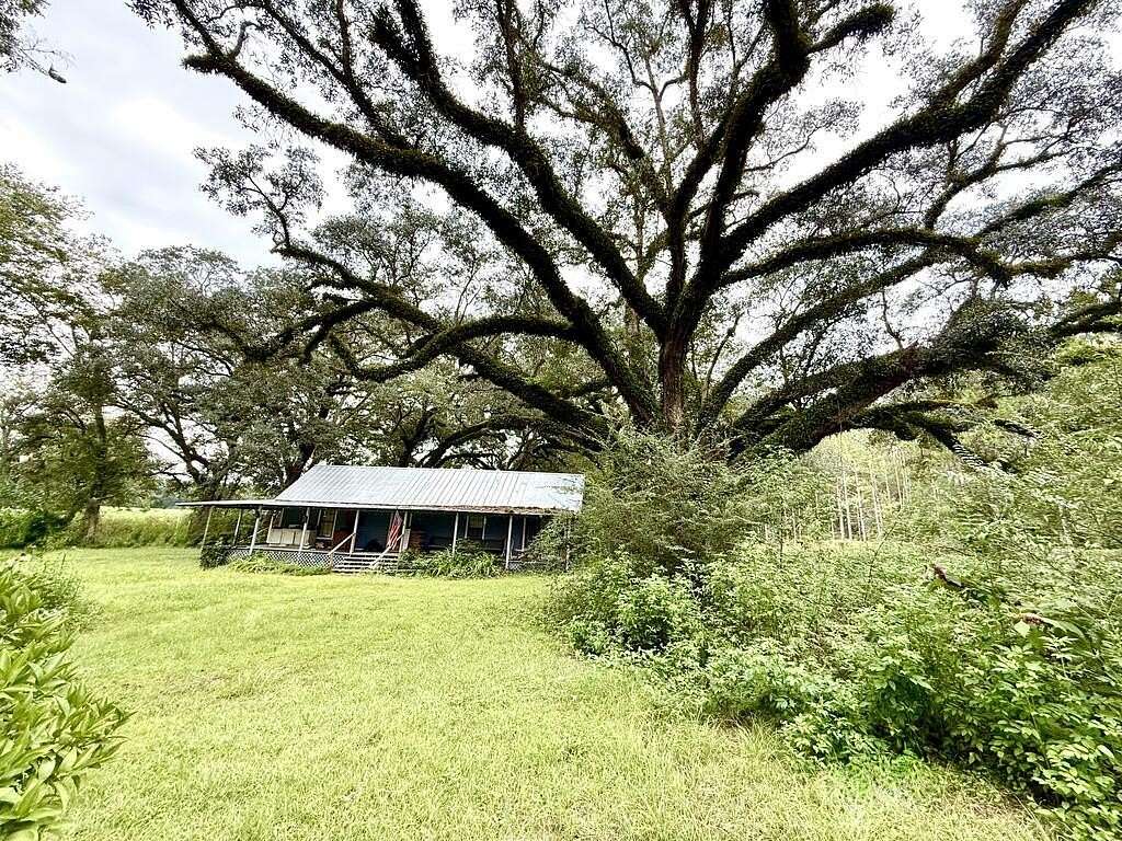 30.8 Acres of Recreational Land with Home for Sale in Pelham, Georgia