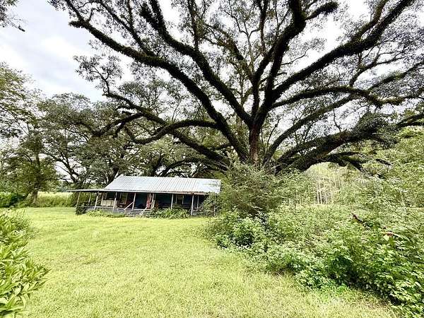 30.8 Acres of Recreational Land with Home for Sale in Pelham, Georgia