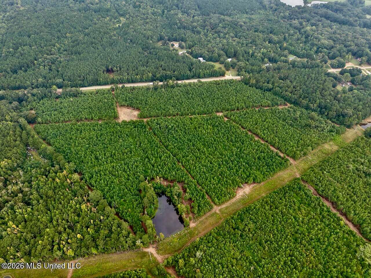 53 Acres of Land for Sale in Centreville, Mississippi