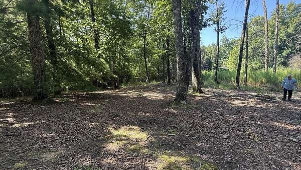 3.13 Acres of Residential Land for Sale in Blairsville, Georgia