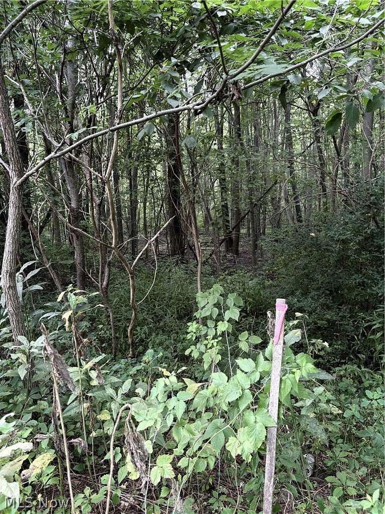8.7 Acres of Land for Sale in Garrettsville, Ohio
