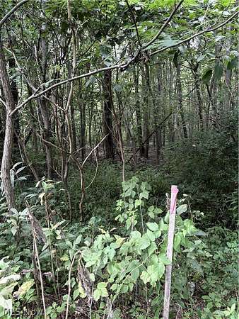 8.7 Acres of Land for Sale in Garrettsville, Ohio