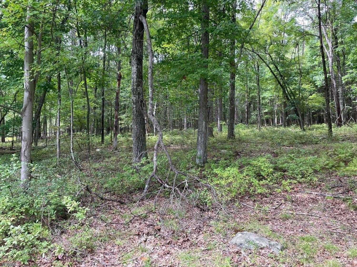 5.48 Acres of Residential Land for Sale in Stillwater Township, New Jersey